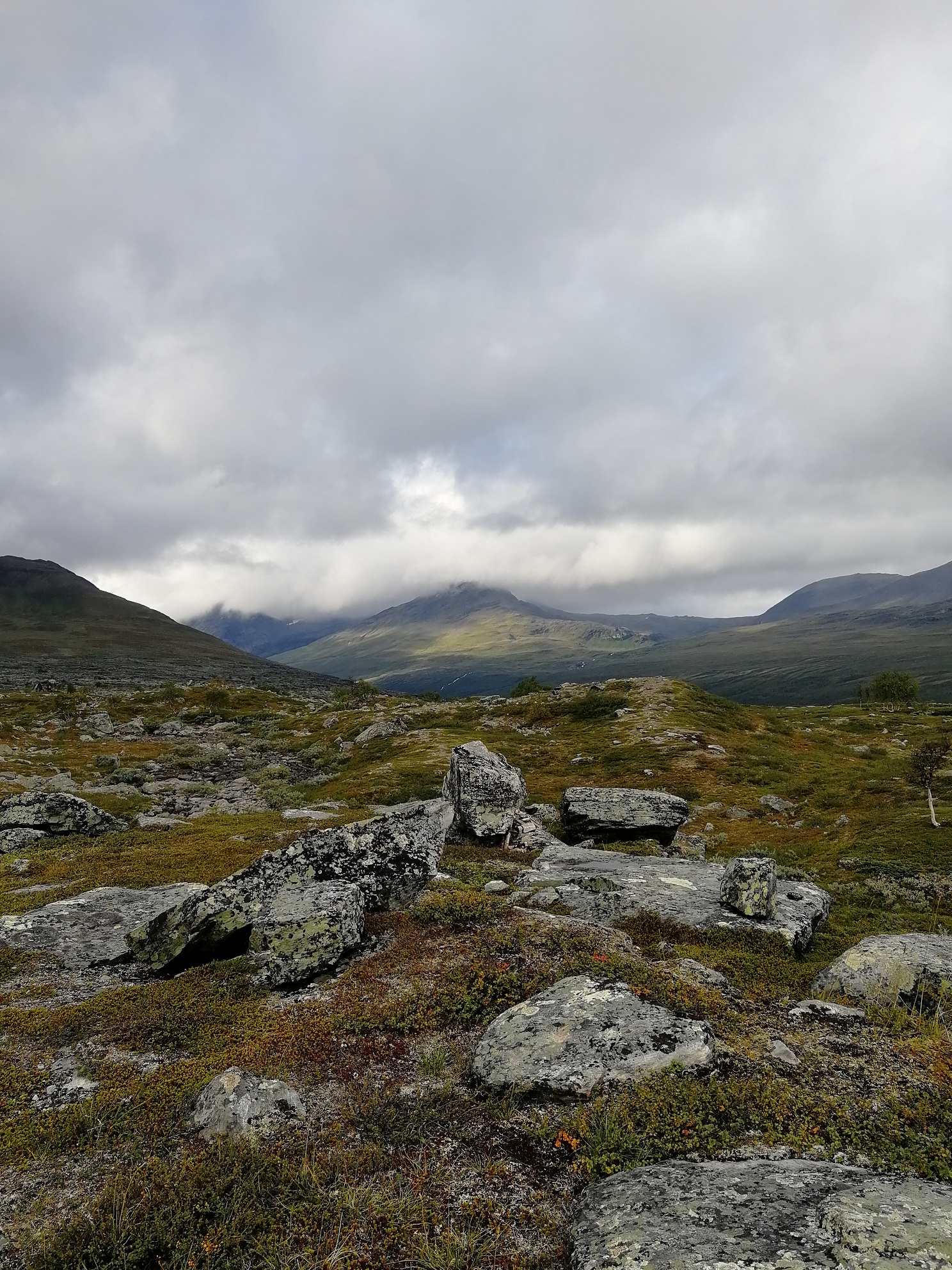 Background image of Pältsan