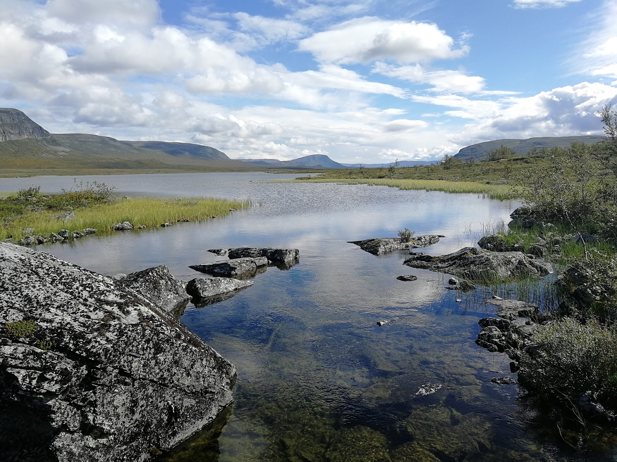 Background image of Pältsan